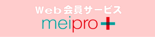 メイプロプラス